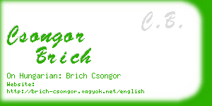 csongor brich business card